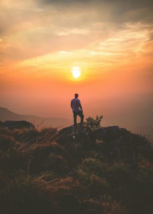 pexels-mathew-thomas-318779-906531